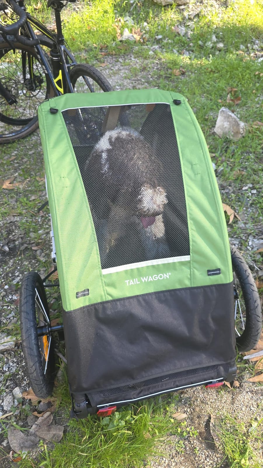 Burley Tail Wagon | Lightweight Dog Bike Trailer with Mesh Windows, Removable Floor & Low-Clearance Entry customer photo 1