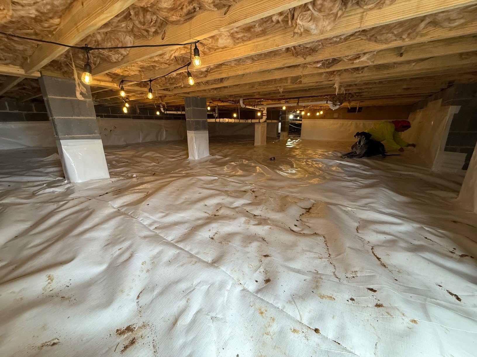 Whitecap - Woven Vapor Barrier - 12 Mil (12' x 100'), Thick Plastic sheeting, Drop Cloth Moisture Barrier Covering for Crawl Space Encapsulation, Life-Time Warranty customer photo 2