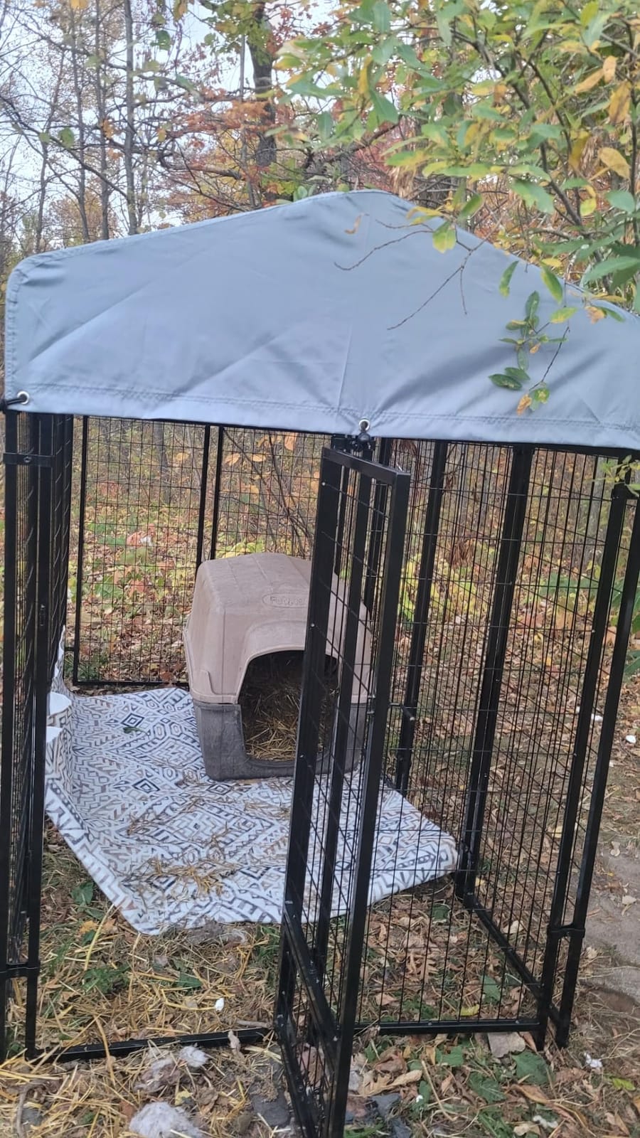 LEMBERI 8x4x6FT Outdoor Dog Kennel for Large Dogs, Heavy Duty | Escape-proof galvanized steel dog run with double-latch gate, reflective silver waterproof roof, 2 stainless steel bowls customer photo 2