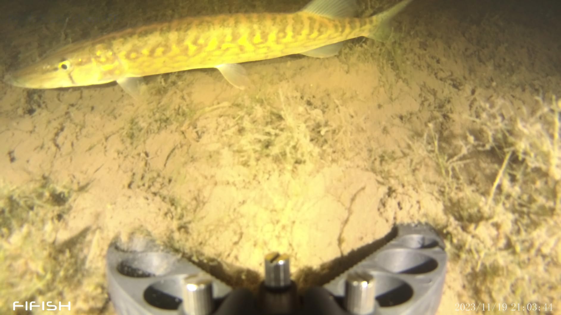 Qysea FIFISH V-EVO AI Underwater ROV Robotic Arm Kit customer photo 1