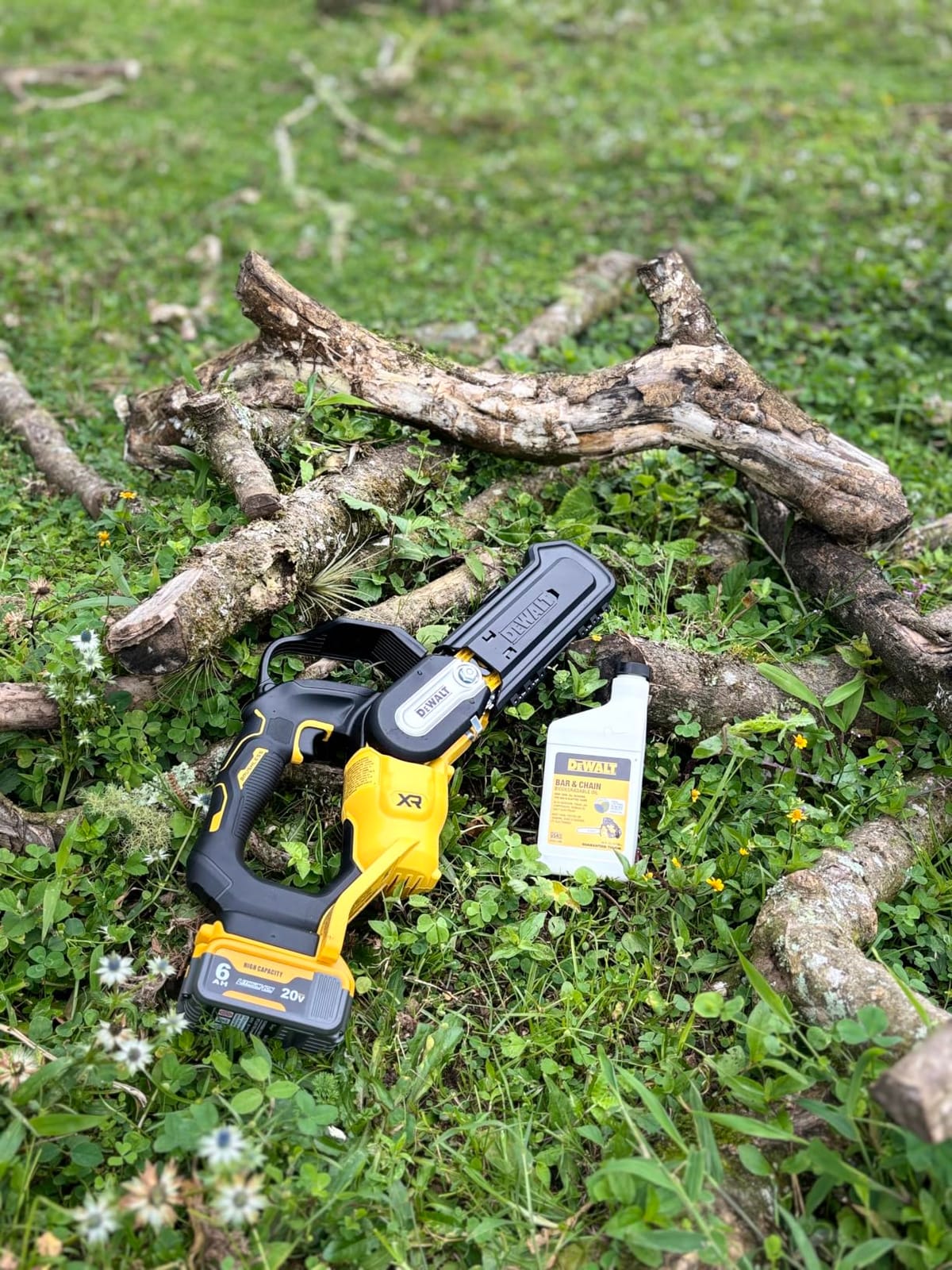 Dewalt Chainsaw Pruning CRDLS 20V 8IN DCCS623B customer photo 1