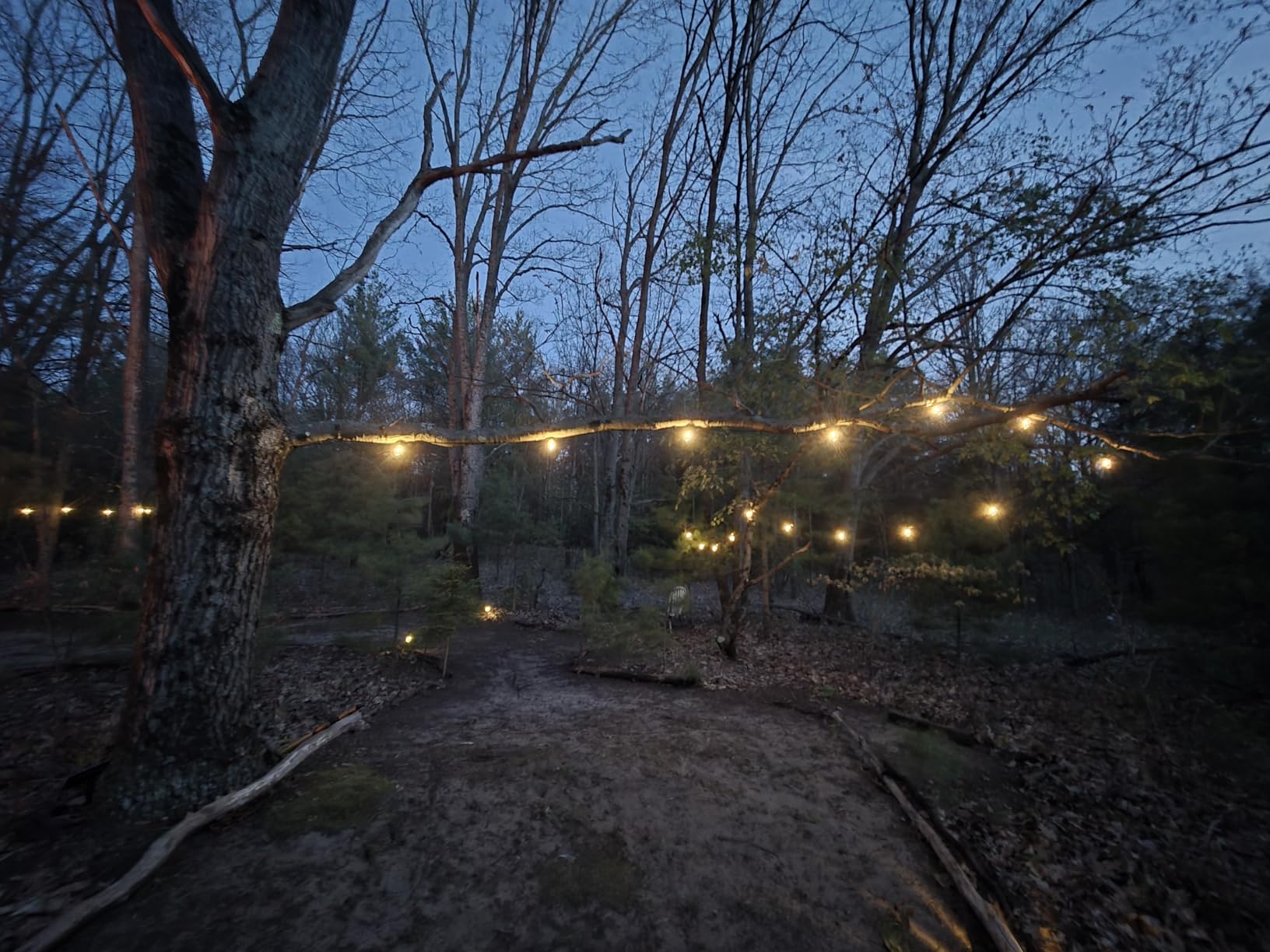 addlon 52FT(48+4) Solar String Lights Outdoor, Waterproof Dimmable 16+1 LED | Patio Lights with Remote & USB Charging, Timer, 3 Light Modes, Shatterproof, Solar Lights Outdoor for Camping Backyard Garden customer photo 1