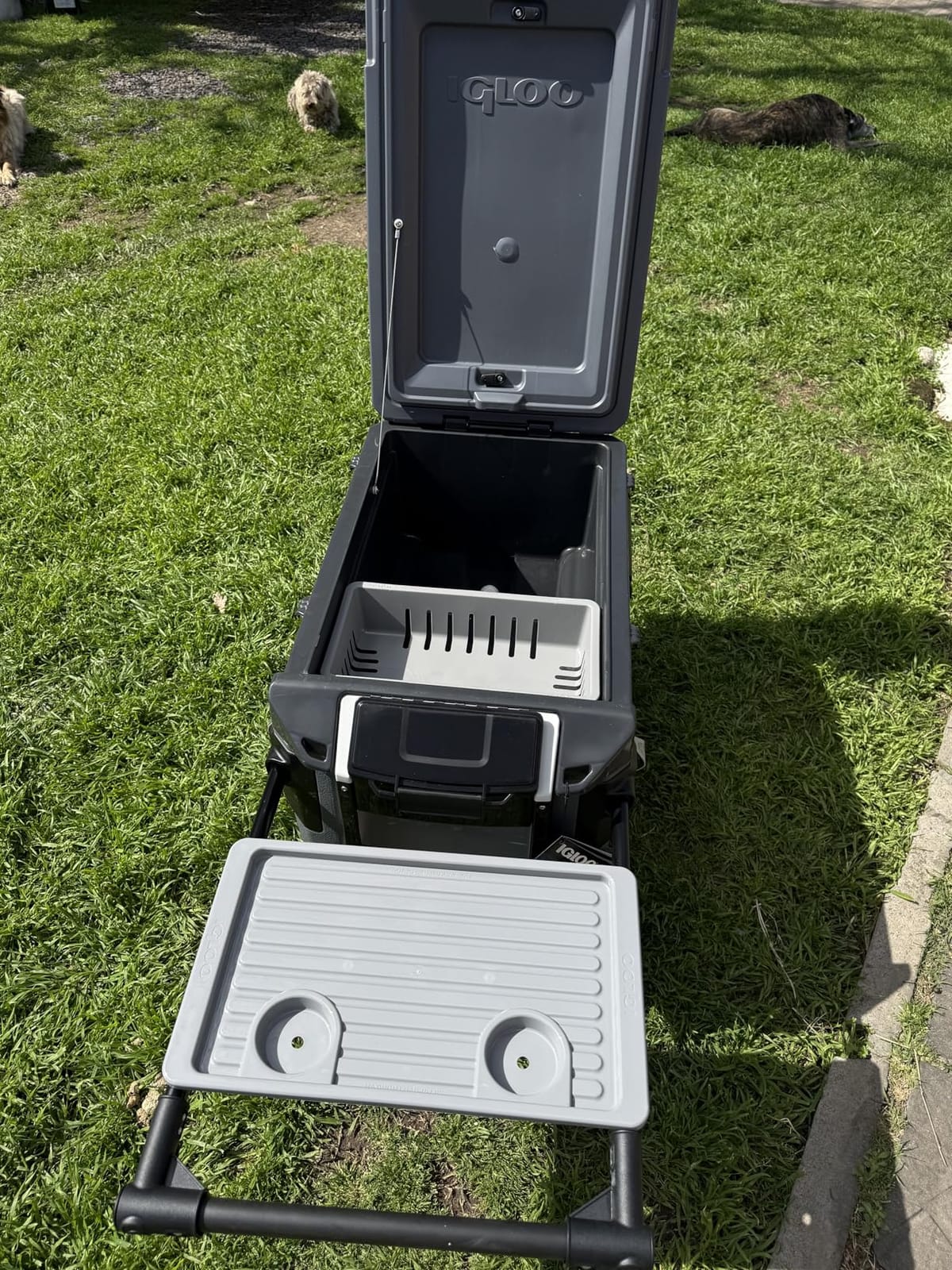Igloo Trailmate Journey 70Qt Wheeled Cooler customer photo 2