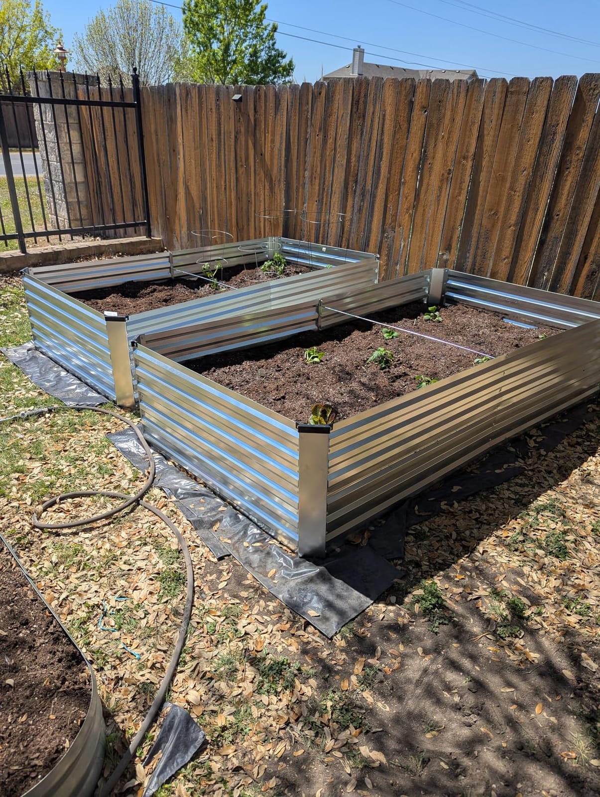 FOOWIN 8x4x2ft Raised Garden Bed Outdoor, Galvanized Steel Garden Beds | Raised Garden Beds for Gardening, Planters for Outdoor Plants,Vegetables,Flowers,Herb,478 Gallon Capacity,Silver,2-Pack customer photo 1