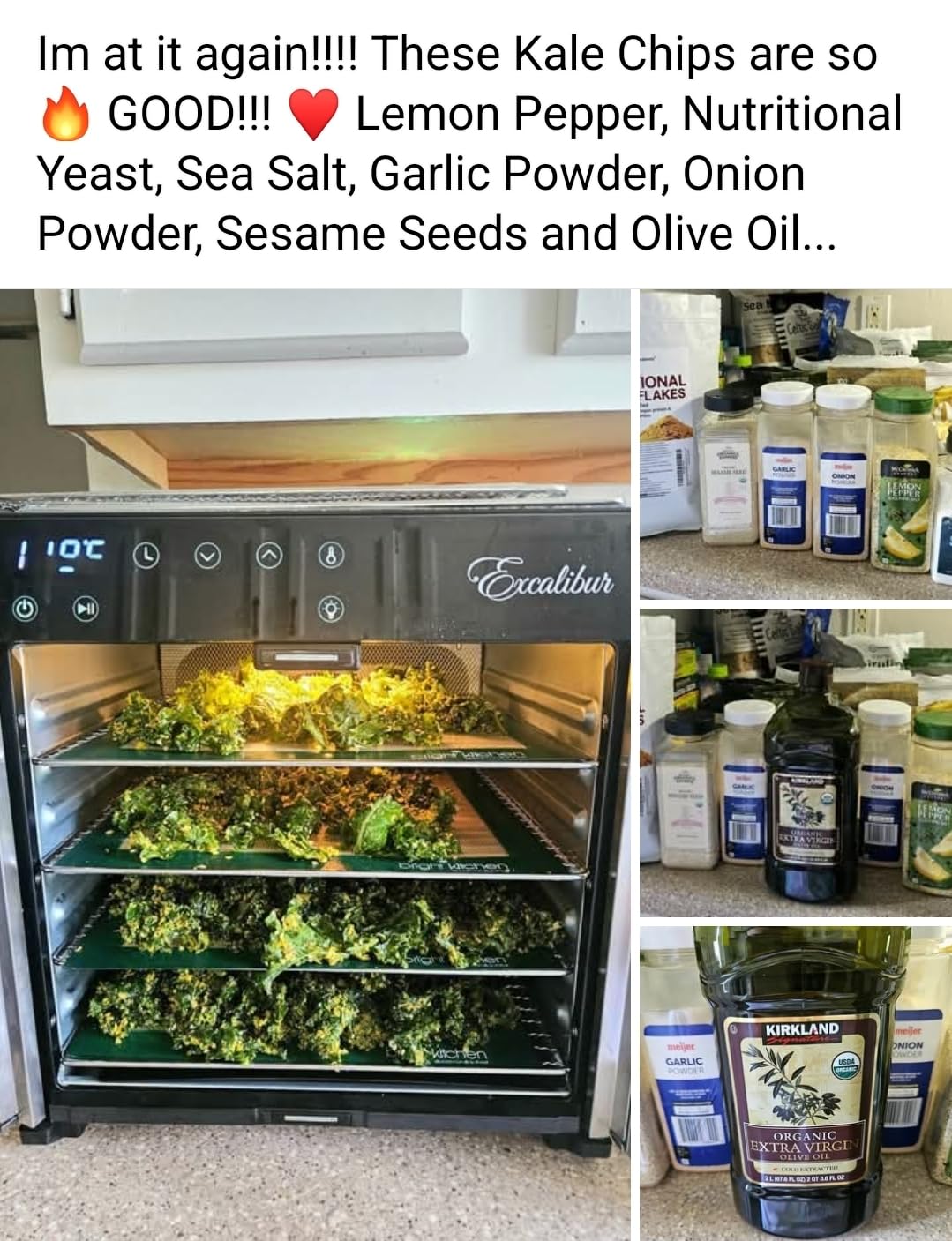 10 Tray Select Digital Dehydrator, in Stainless Steel (DH10SCSS13) customer photo 2