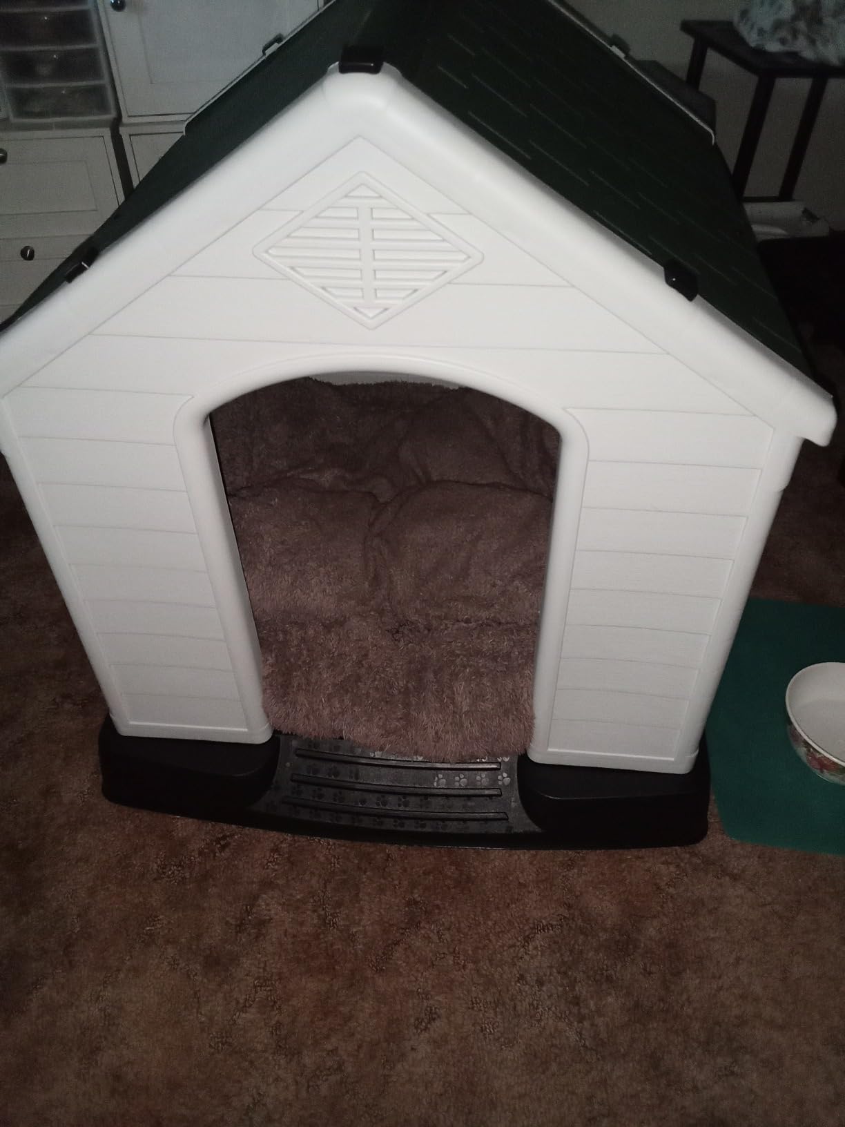 YITAHOME Plastic Dog House, Waterproof Indoor Outdoor Doghouse for Large or Small Dog, with Air Vents and Elevated Floor, Easy Assemble and Clean customer photo 1