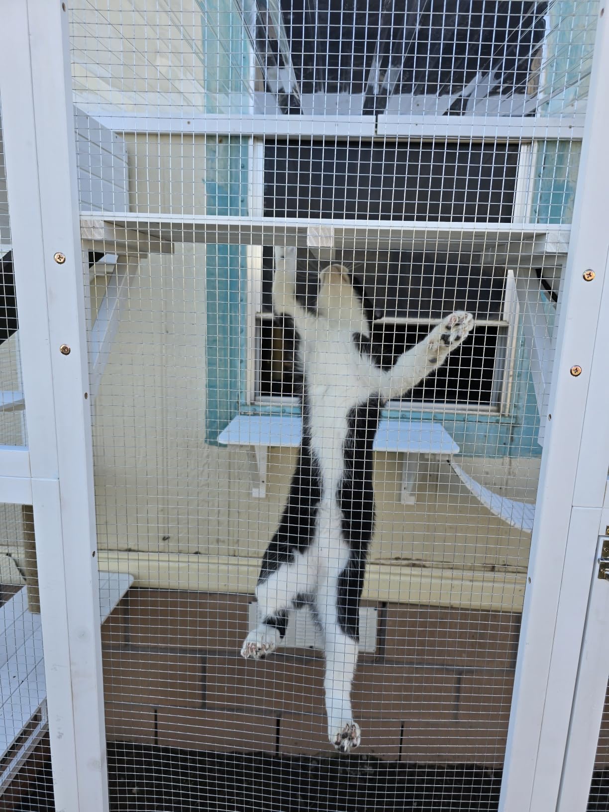 PawHut Catio Outdoor Cat Enclosure Window, 118
