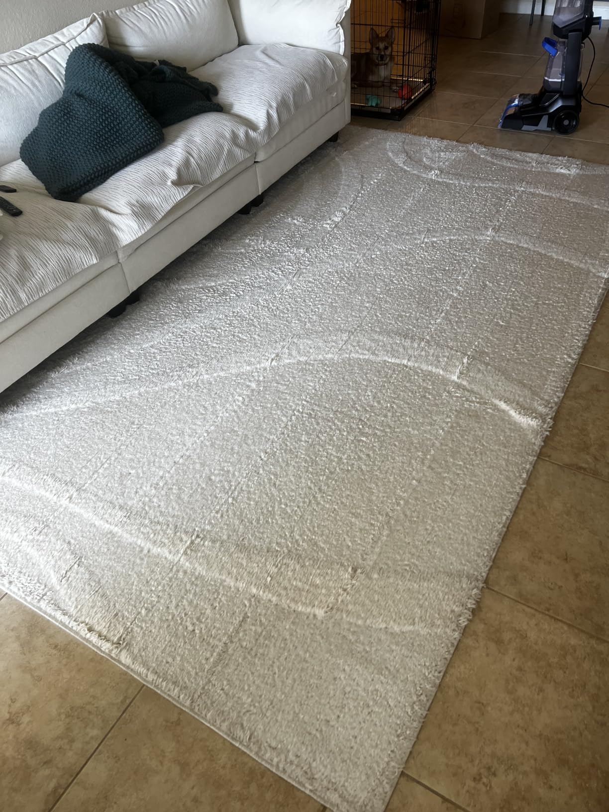 BISSELL TurboClean Pet XL Upright Carpet Cleaner, Upholstery Tough Stain Tool & Formula included, 3746 customer photo 1