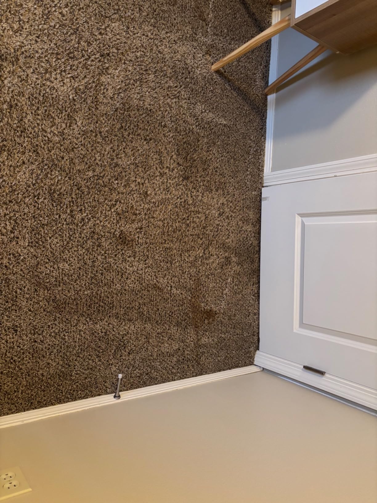 BISSELL TurboClean Pet XL Upright Carpet Cleaner, Upholstery Tough Stain Tool & Formula included, 3746 customer photo 2