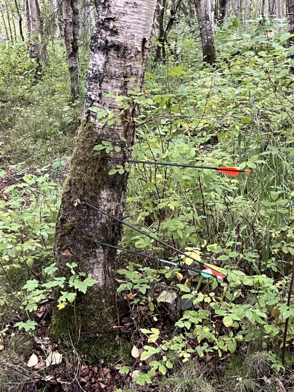 Sanlida Dragon X9 Ready to Hunt Compound Bow Kit for Adults, Archery Hunting Bow Package with 12 Carbon Arrows, Adjustable up to 70 lbs, No Bow Press Needed, Right Hand Only customer photo 1