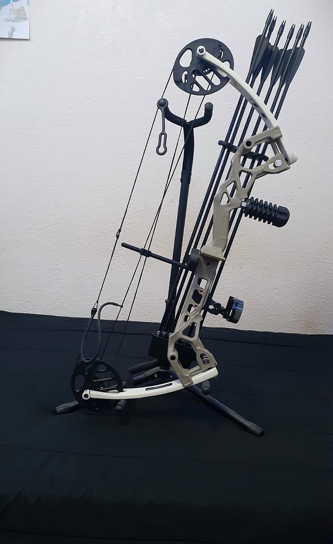 Sanlida Archery Dragon X6 Compound Bow Kit for Youth, Kids & Beginners customer photo 1
