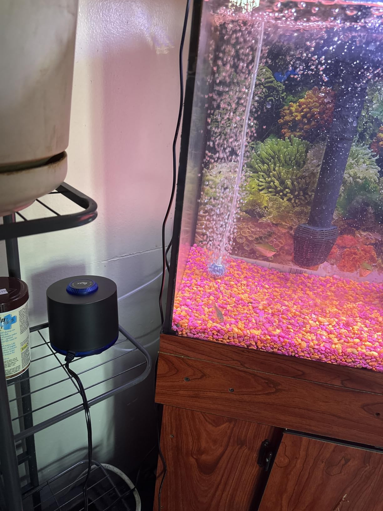 AQQA Aquarium Air Pump, 3W Powerful Dual Outlet Adjustable Oxygen Aerator | Quiet Operation, Stainless Steel Outlet Fish Air Pump, Adjustable Air Flow with Air Stone Bubbler, for Up to 80 Gallon Tank customer photo 2
