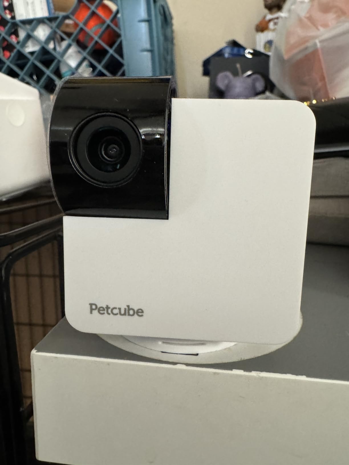 Petcube Cam 360 - Wi-Fi Pan-Tilt Pet Security Camera with App | 1080p HD video, 360° rotation, night vision, AI alerts for dog, cat & home monitoring customer photo 2