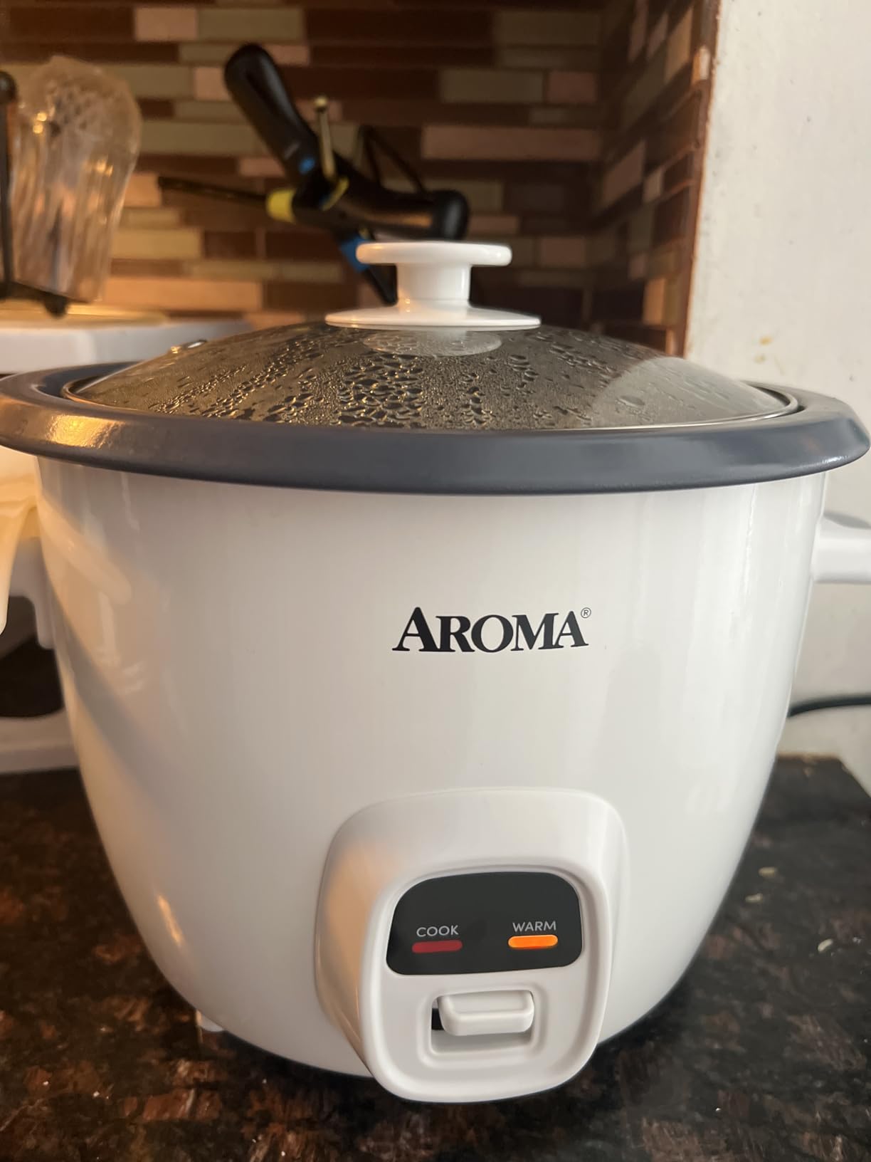 AROMA 20-Cup (Cooked) One-Touch Rice Cooker and Food Steamer with Auto-Warm | 10 cups uncooked, 20 cups cooked (ARC-390NGP) customer photo 1