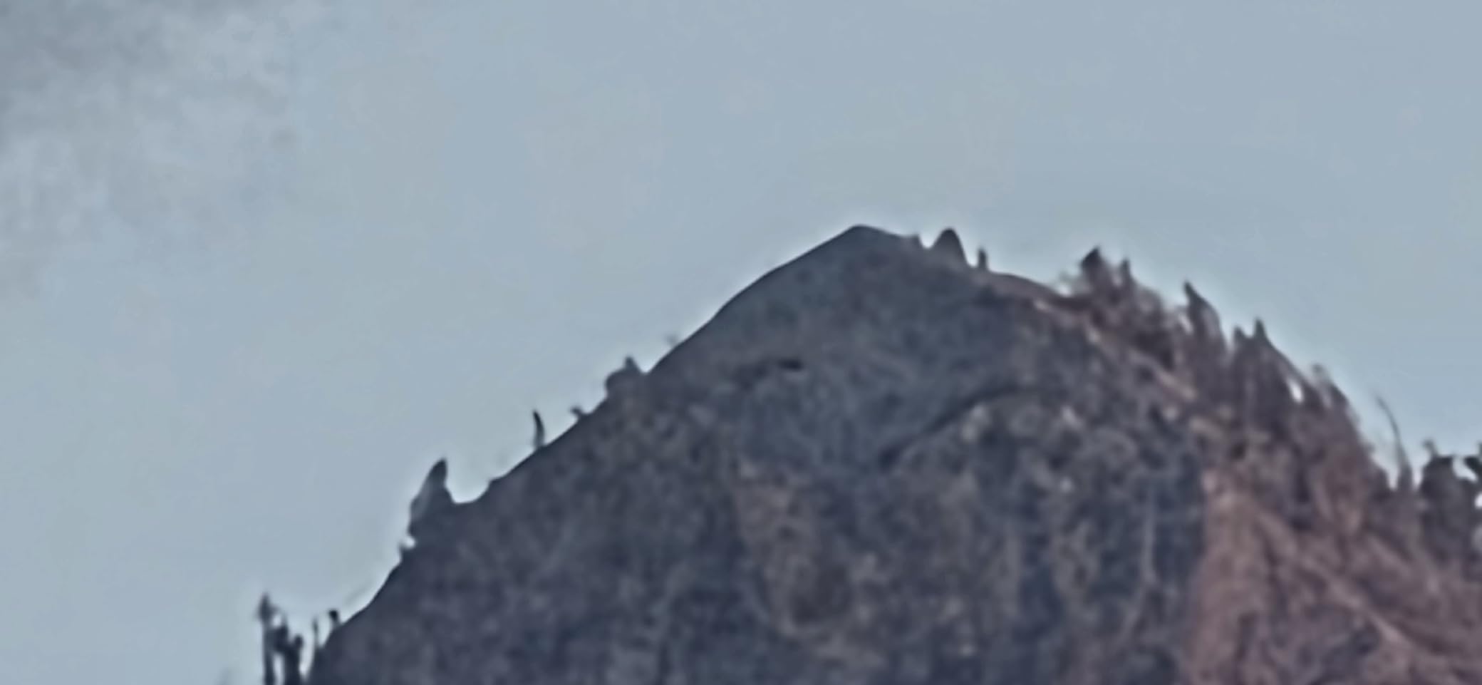 Canon RF200-800mm F6.3-9 is USM Super-telephoto Zoom Lens, Mirrorless, Powerful Zoom Range, Comfortable Handheld Shooting, for Wildlife, Nature, Outdoor Sports, Compact & Lightweight customer photo 1