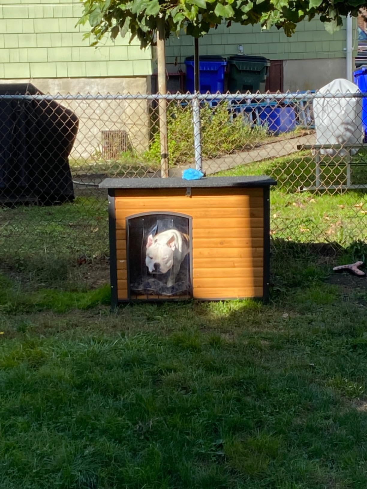 Aivituvin Heated Dog House Outdoor & Indoor Dog Kennel with Insulated Liner & Heating System for Winter Waterproof Large Dog Cage for Small & Medium & Large Dogs, Unique All-Around Iron Frame customer photo 1