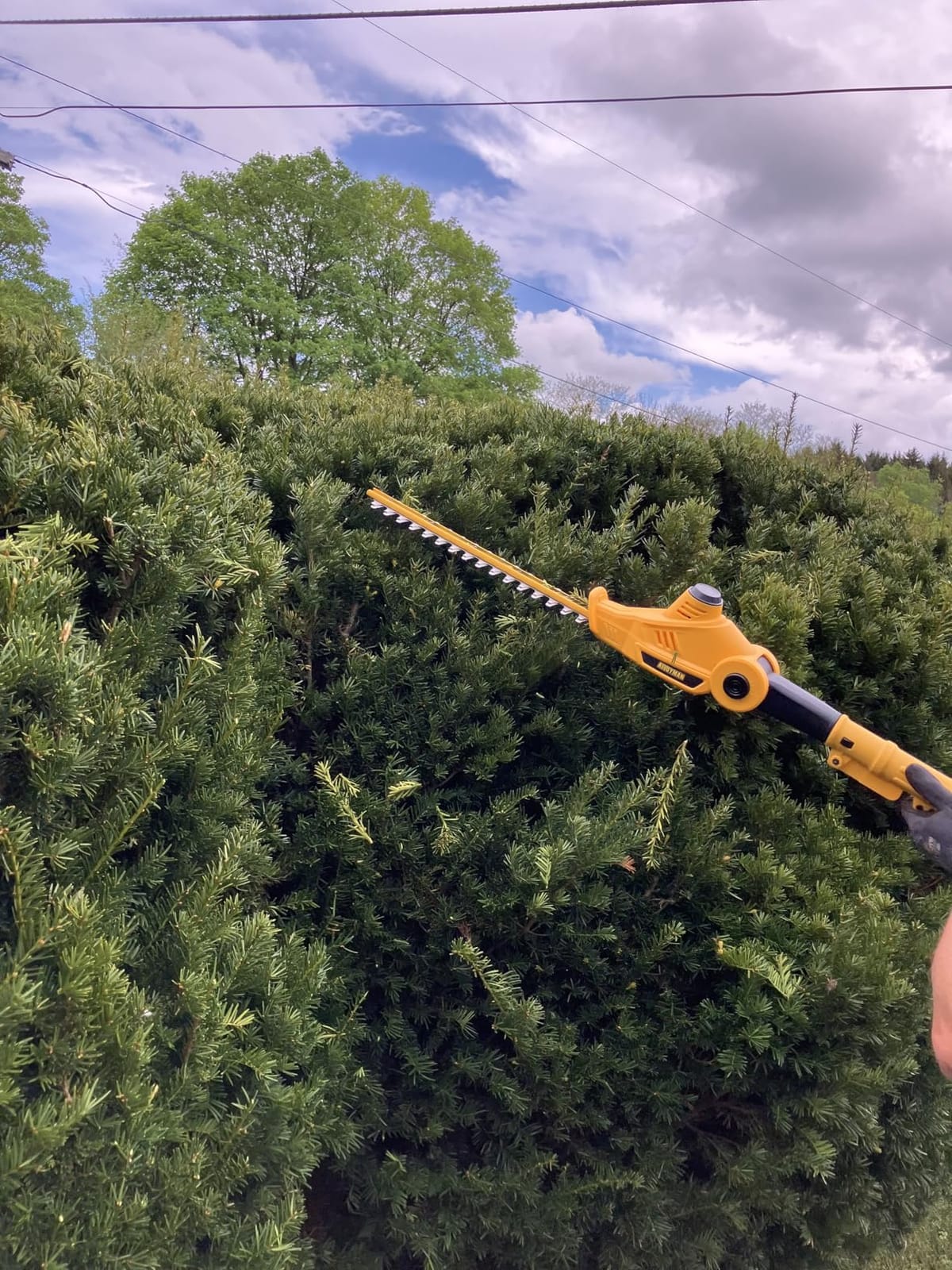 Alloyman 20V MAX Pole Hedge Trimmer, Telescoping Pole Hedge Trimmer, with 2 Packs 4.0Ah Batteries & Charger, 8 Feet Hedge Trimmer for Shrubs Pruning customer photo 1