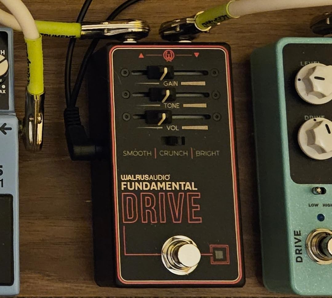 Walrus Audio Fundamental Series Ambient Reverb customer photo 2