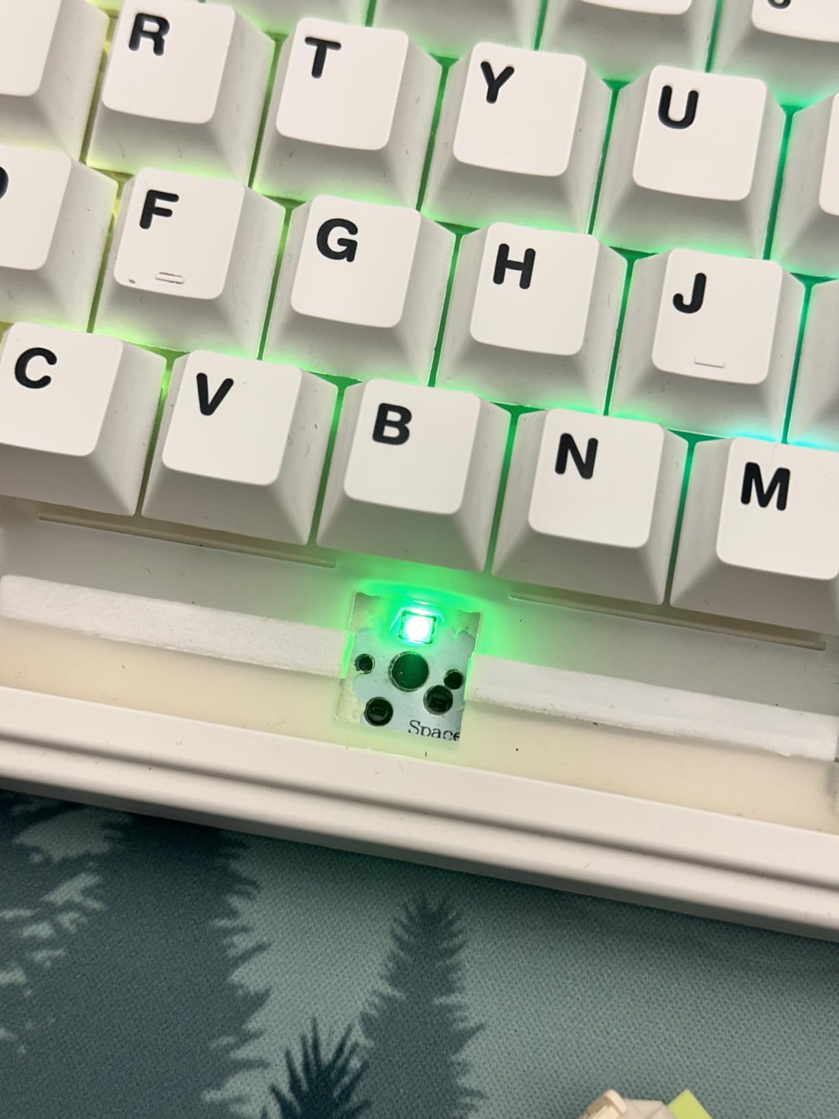 EPOMAKER x Aula F75 Gasket Mechanical Keyboard, 75% Wireless Hot Swappable Gaming Keyboard with Five-Layer Padding & Knob, BT/2.4GHz/USB-C, RGB (Black, LEOBOG Reaper Switch) customer photo 2