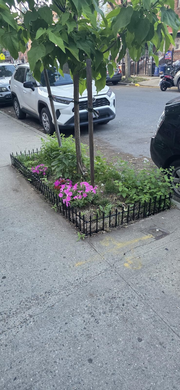Decorative Metal Garden Fence with Gate 36