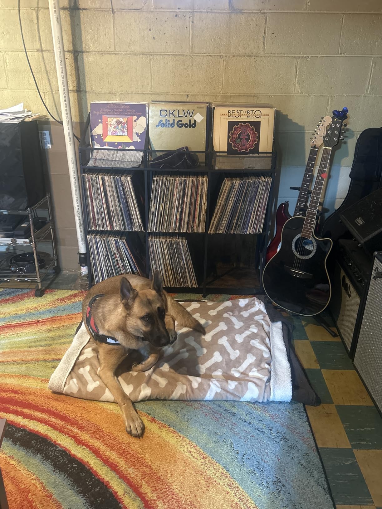EYOCAL 9 Grids Vinyl Record Storage Holder Rack Wooden Record Display Table for Magazines Files Albums Books for Living Room Bedroom Patent Pending customer photo 1