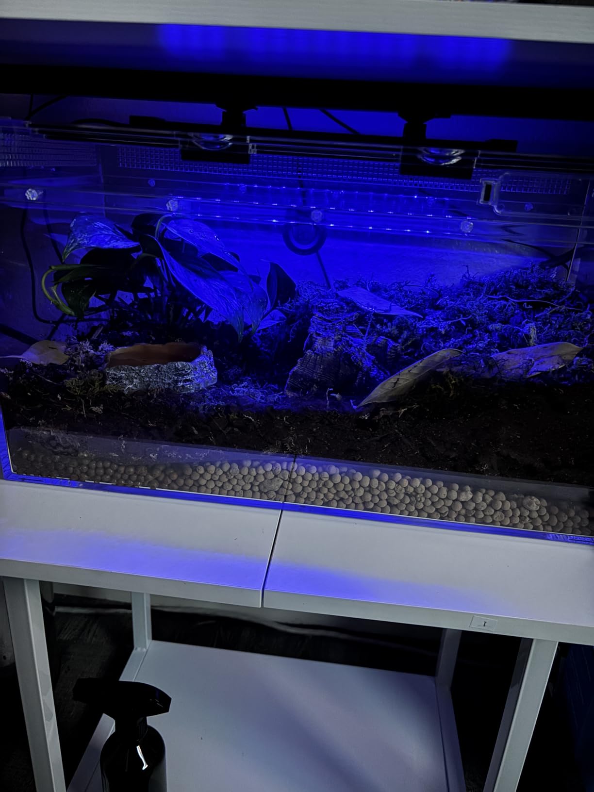 Reptile PC Terrarium Set, Reptile Tank 20