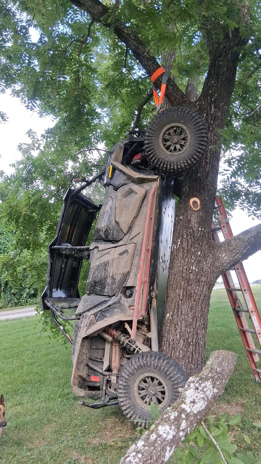 Rough Country 4500 LB UTV/ATV ProSeries electric winch with 50 ft synthetic rope, remote, waterproof 12V off-road recovery system customer photo 1