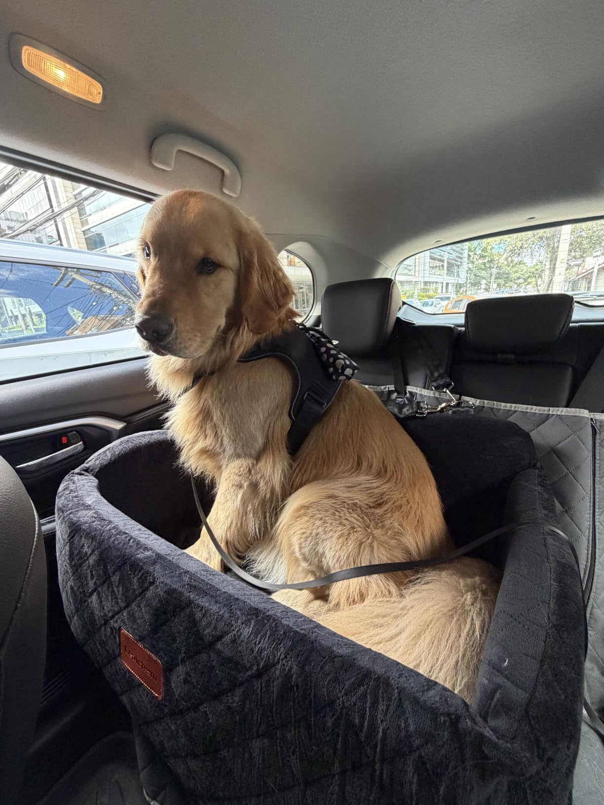 Lealchum Dog Car Seat Up to 55lb, 2 Clip-On Safety Adjustable Leashs Car Dog Bed for 2 Small Dogs, Fully Detachable and Washable Pet Car Seat with 2 Storage Pockets, Easy to Install(Black/Grey, Large) customer photo 1