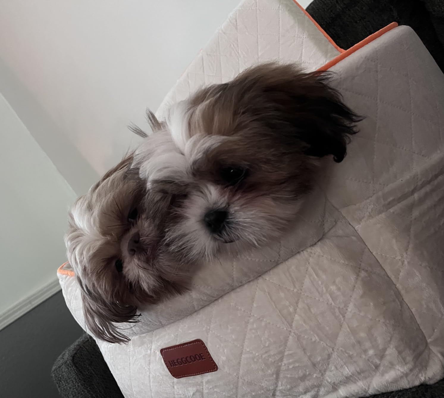 HEGGCOOE Small Dog Car Seat, Memory Foam Dog Booster Car Seats with Thick Cushion for Medium Dogs Under 35lbs, Detachable Washable Dog Bed for Car, Pet Carseat with Storage Pockets, 2 Safety Belts customer photo 2