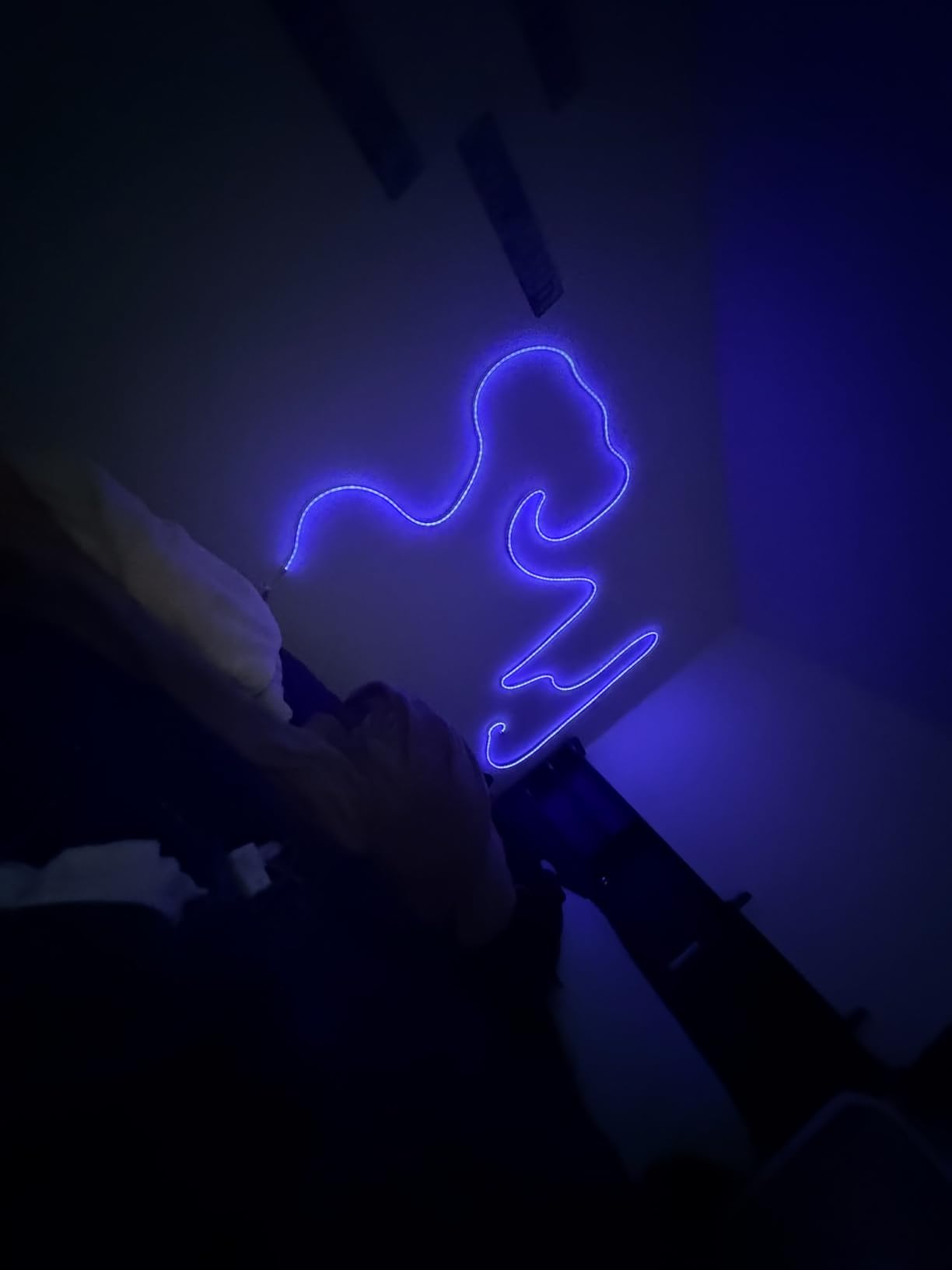 20Ft Neon Rope Lights, Flexible Led Rope Lights Control with App/Remote, Multiple Modes Rope Lights, IP65 Outdoor Waterproof, Music Sync Light Strip for Bedroom customer photo 2