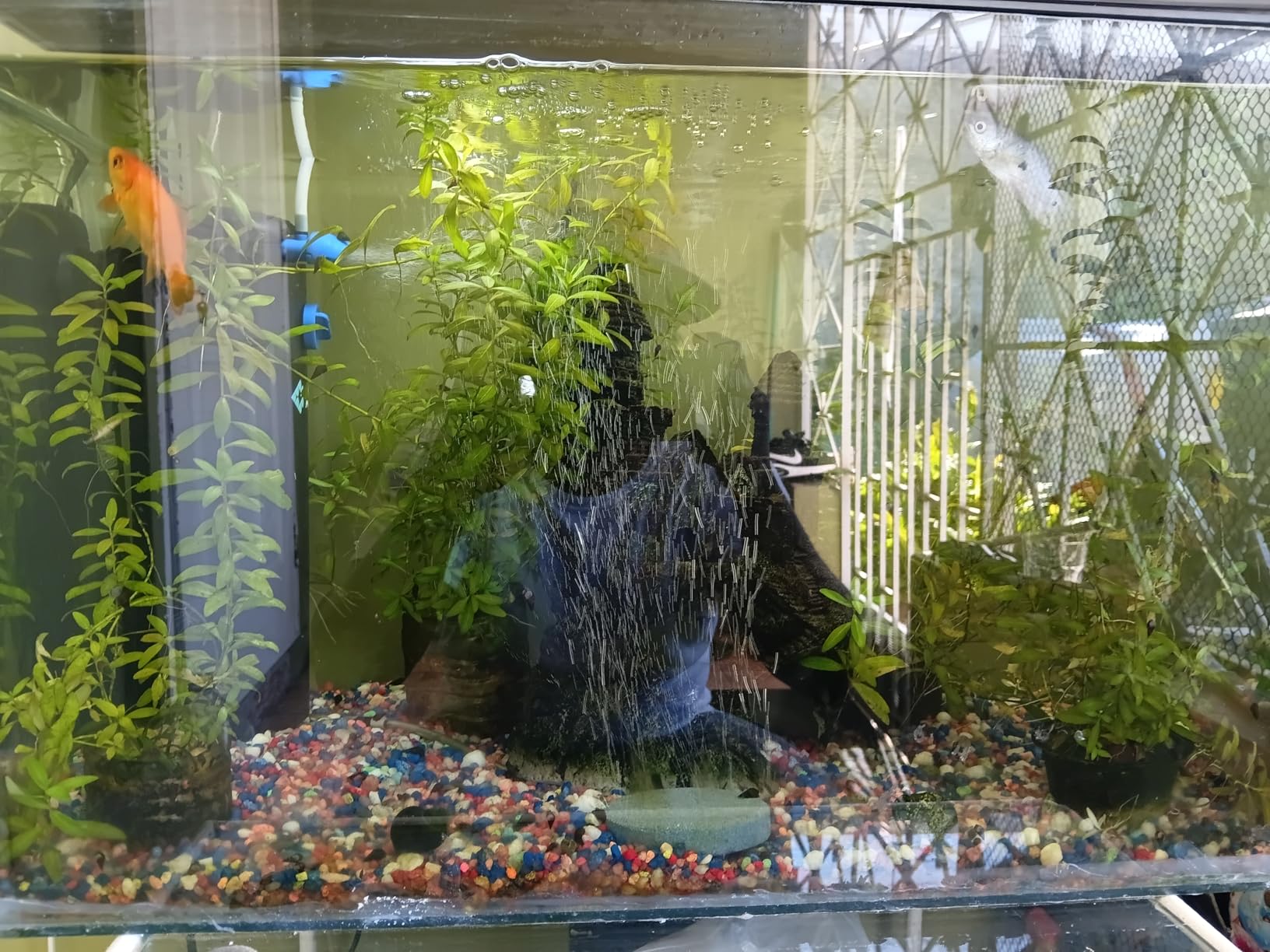 55 Gallon Fish Tank Filter to 100 Gallon Fish Tank Filter | Silent Fish Tank Filter | Large Fish Tank Filter | Submersible Aquarium Filter, 75 Gallon Fish Tank Filter, In Tank Aquarium Filter customer photo 2