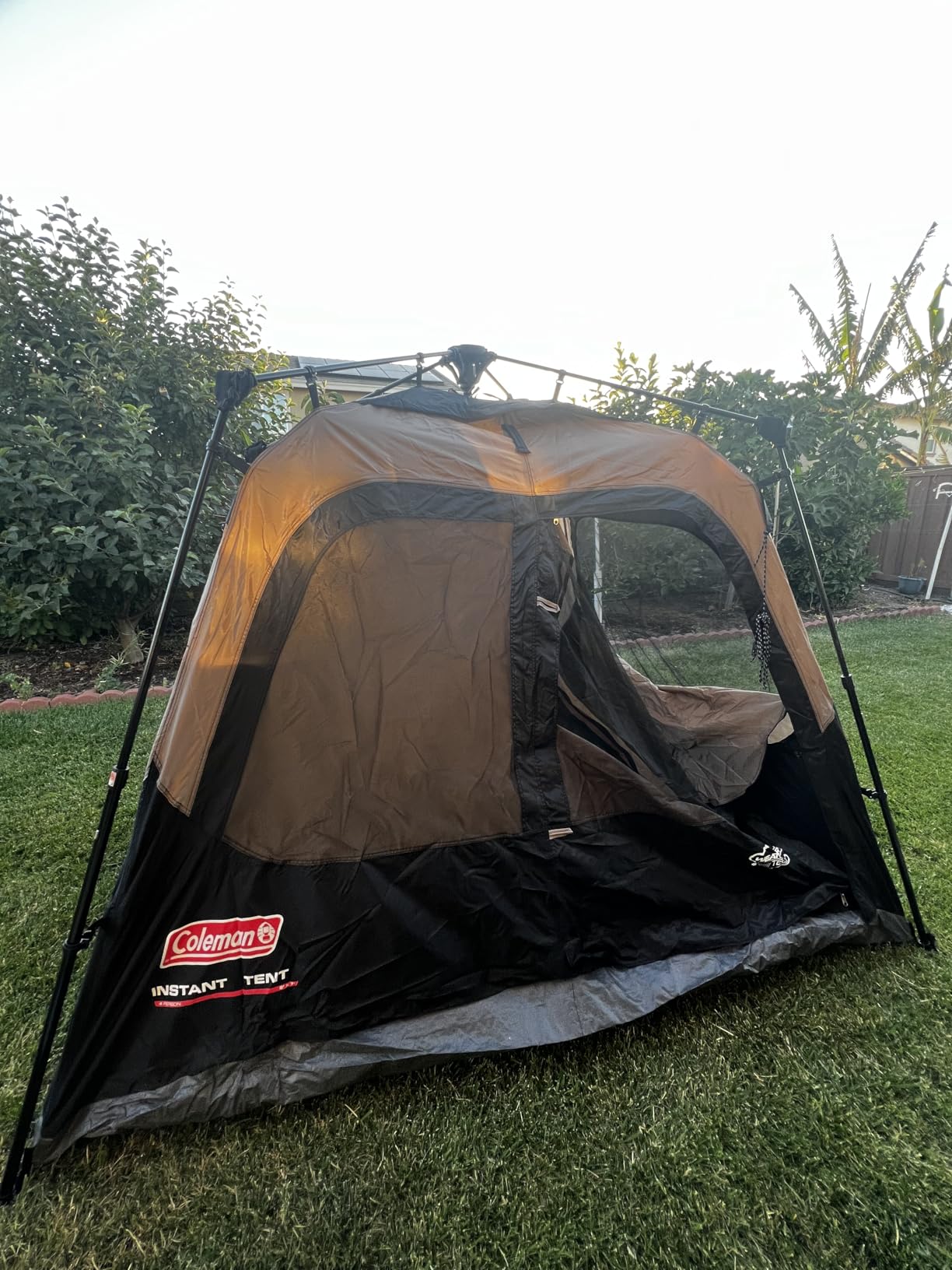 Coleman 4/6/8/10 Person Instant Camping Tent with 1-Minute Setup, Large Family Tent with Pre-Attached Poles, Air Vent, & Carry Bag, Sets Up in About 60 Seconds customer photo 1