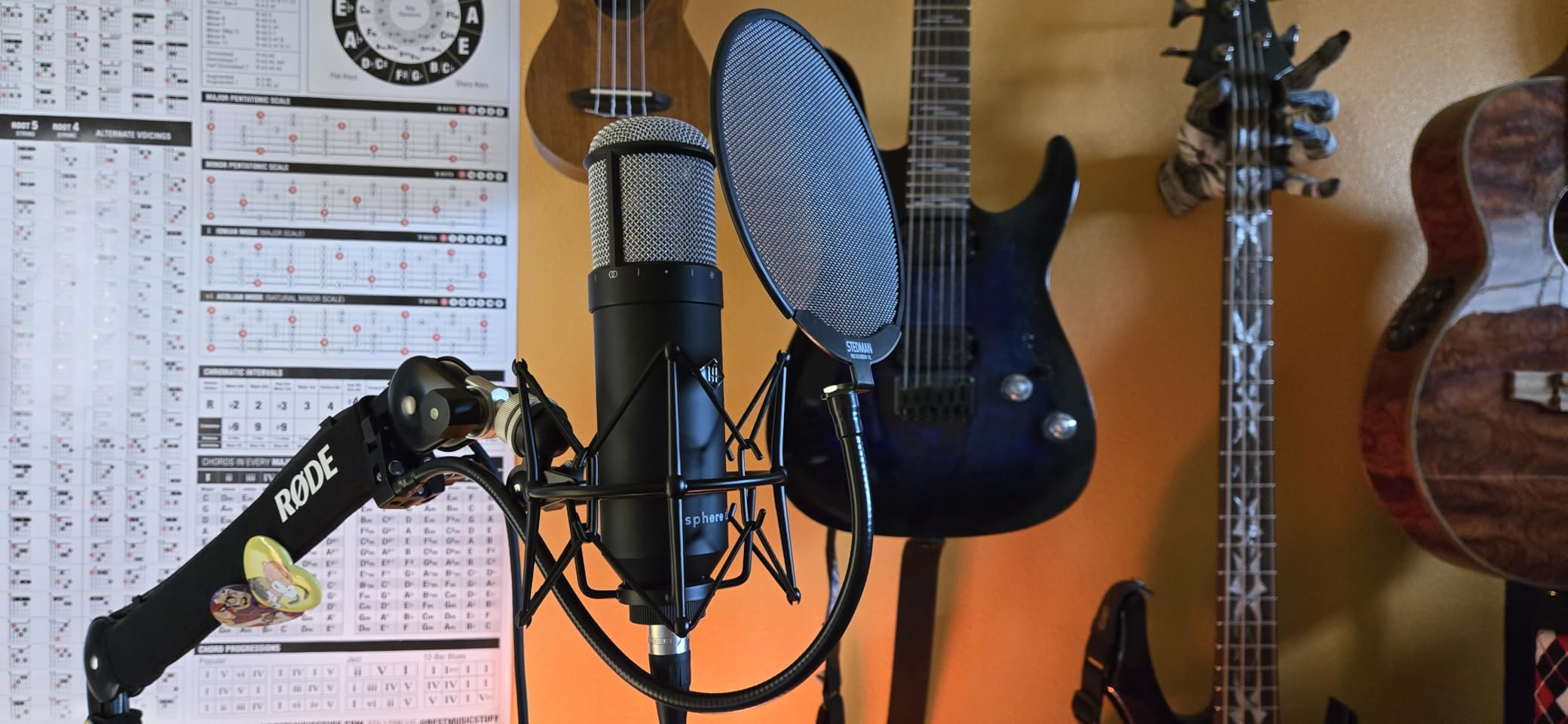 Stedman Proscreen XL V2 Pop Filter for Microphones customer photo 1