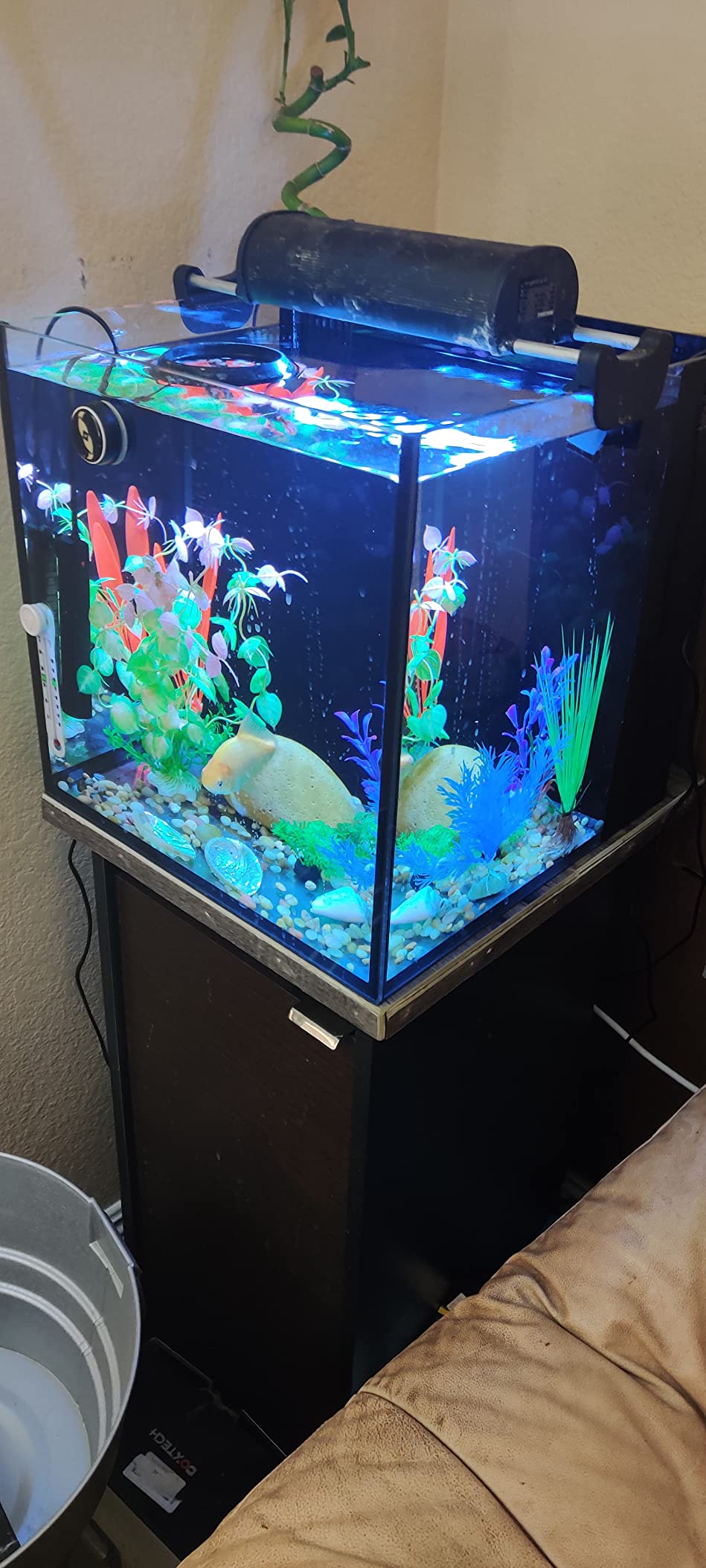 Innovative Marine Starter Kit Aquariums (25 Gallon Lagoon) customer photo 1