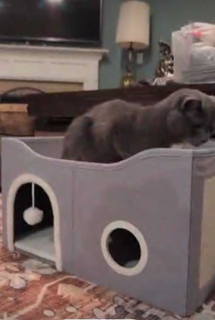 Indoor Heated Cat House, Adjustable Temperature Cat Heating Bed with Timer and Chew Resistant Cord, Large Cat House with Heating Pad for Small Medium and Large Cats customer photo 2