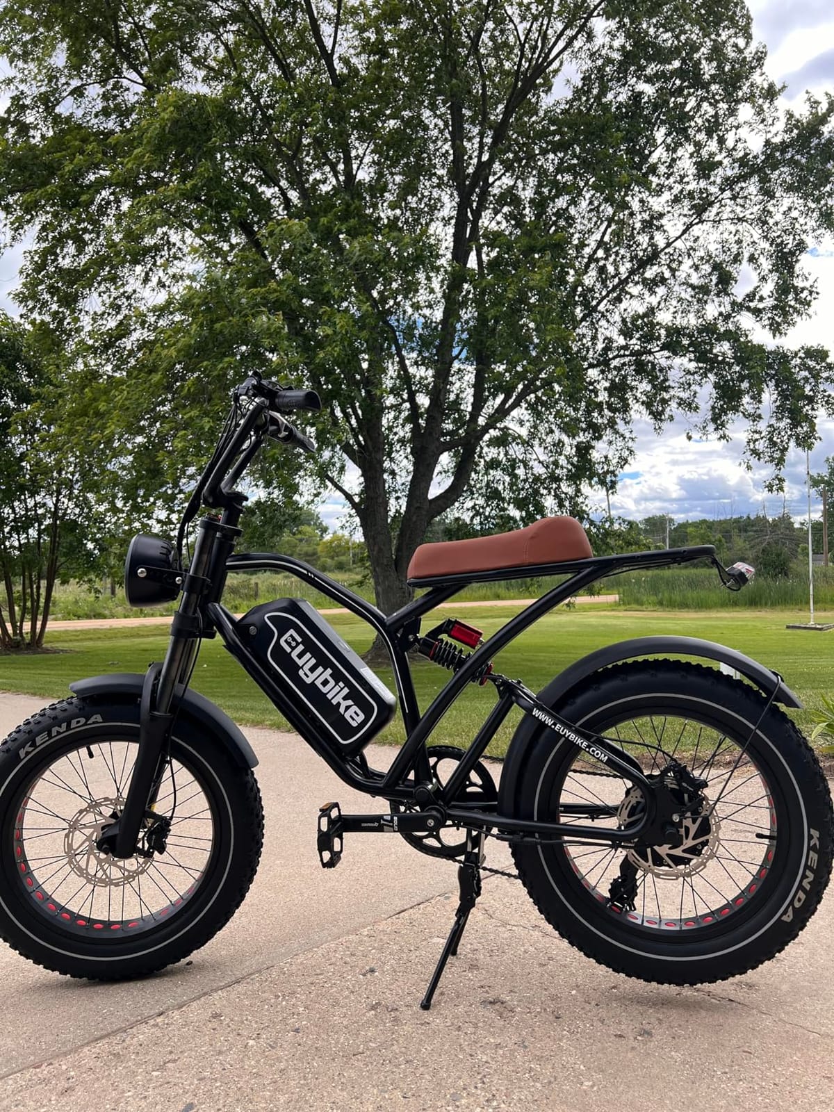 1500W Peak Electric Bike for Adults, 48V 20Ah Removable Battery Max Range 80Miles & 30MPH Electric Bicycle, 20''x4.0