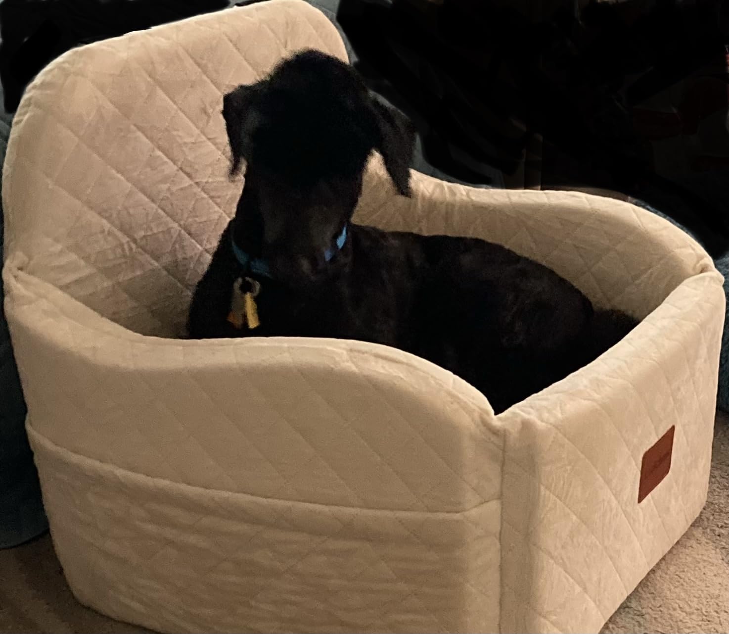 Lealchum Dog Booster Car Seat for S/M Dogs Up to 35lbs, Soft 6in Elevated Cushion, Fits in Front/Back Seat, Fully Detachable and Washable, 2 Storage Pockets & 3 Straps, Easy to Install (Black/Brown, Medium) customer photo 1