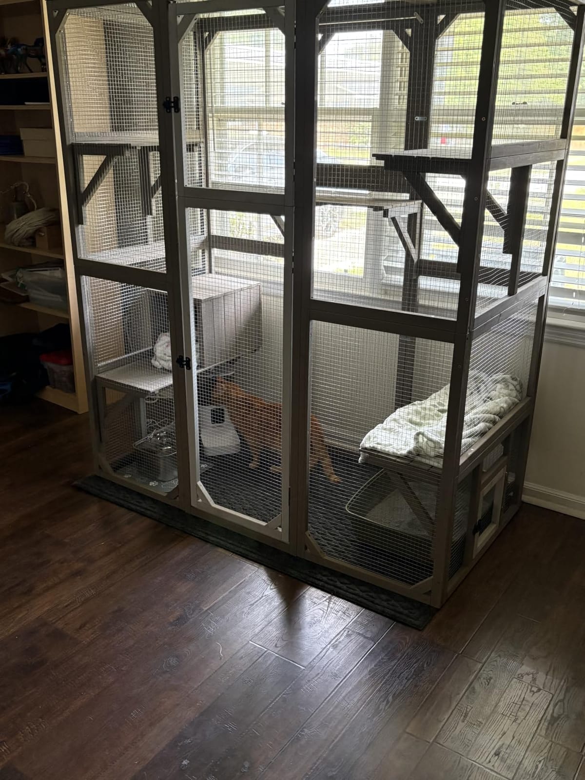 Ketive Catio Outdoor Cat Enclosure with Window Access & Weatherproof Roof | Walk-In Catio, Multi-Level Design, Large Cat Enclosure for Multiple Cats customer photo 1