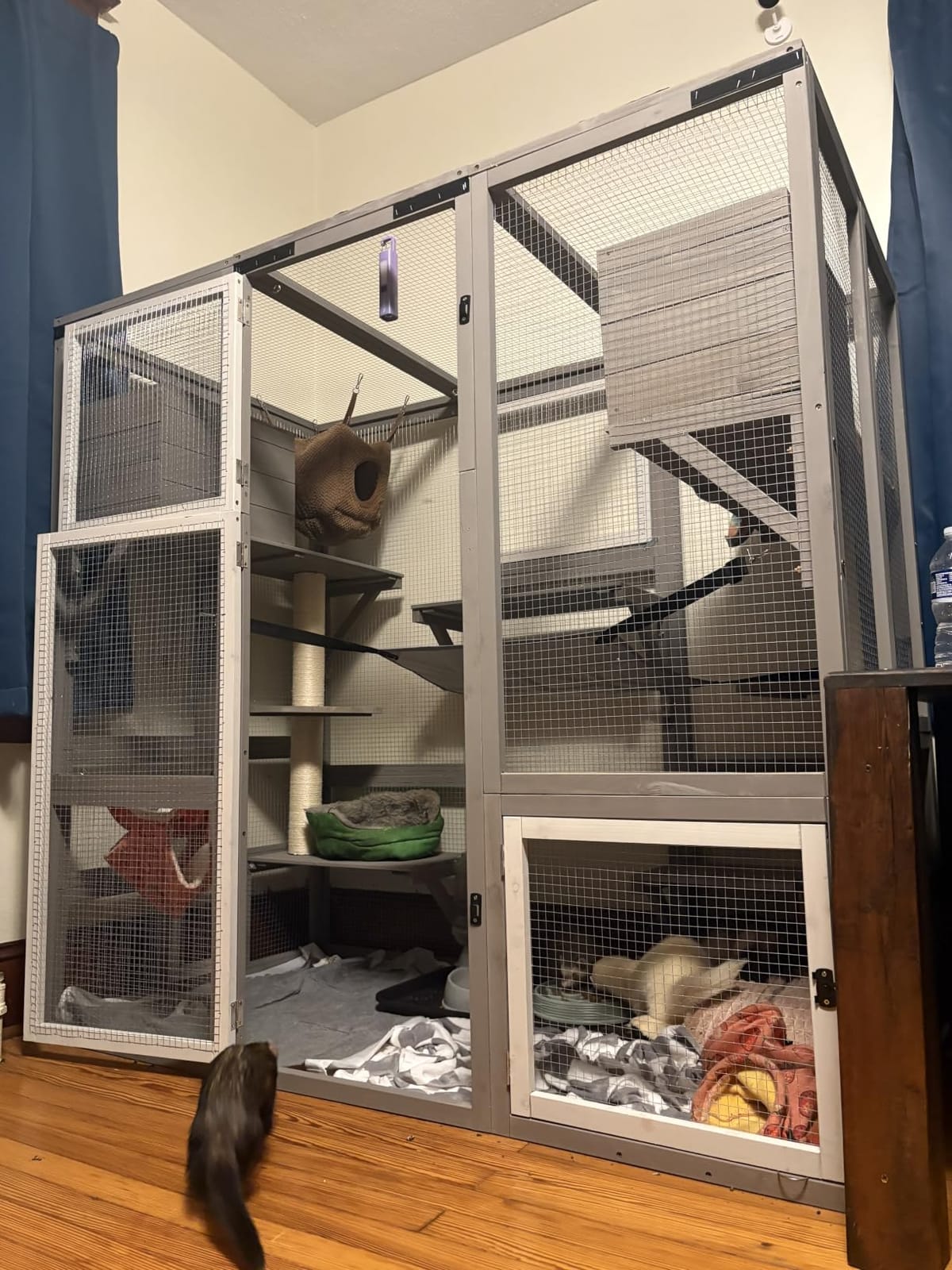 Ketive Catio Outdoor Cat Enclosure with Window Access & Weatherproof Roof | Walk-In Catio, Multi-Level Design, Large Cat Enclosure for Multiple Cats customer photo 2