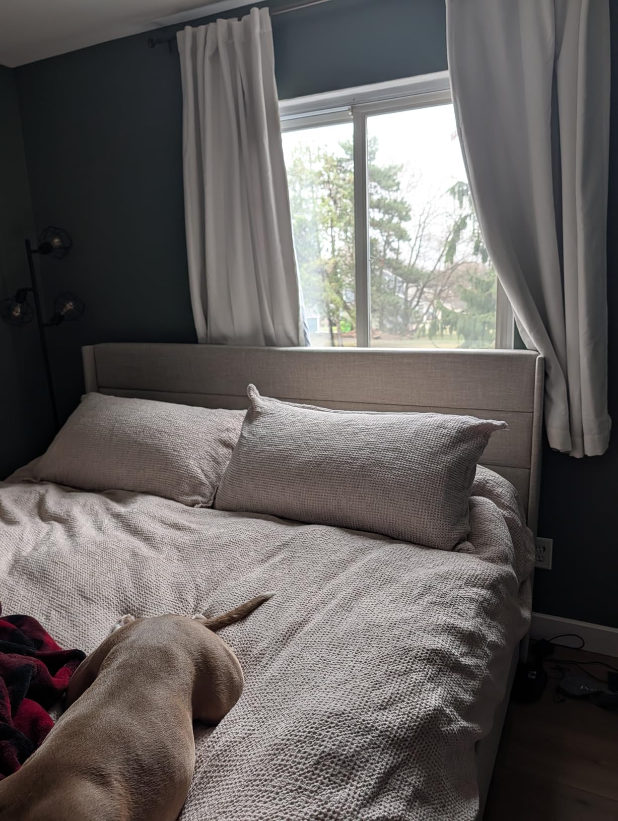 SHA CERLIN Queen Size Lift Up Hydraulic Storage Bed Frame White | Modern Wingback Headboard, Upholstered Platform Bed Frame, Hydraulic Underneath Storage, No Box Spring Needed customer photo 2