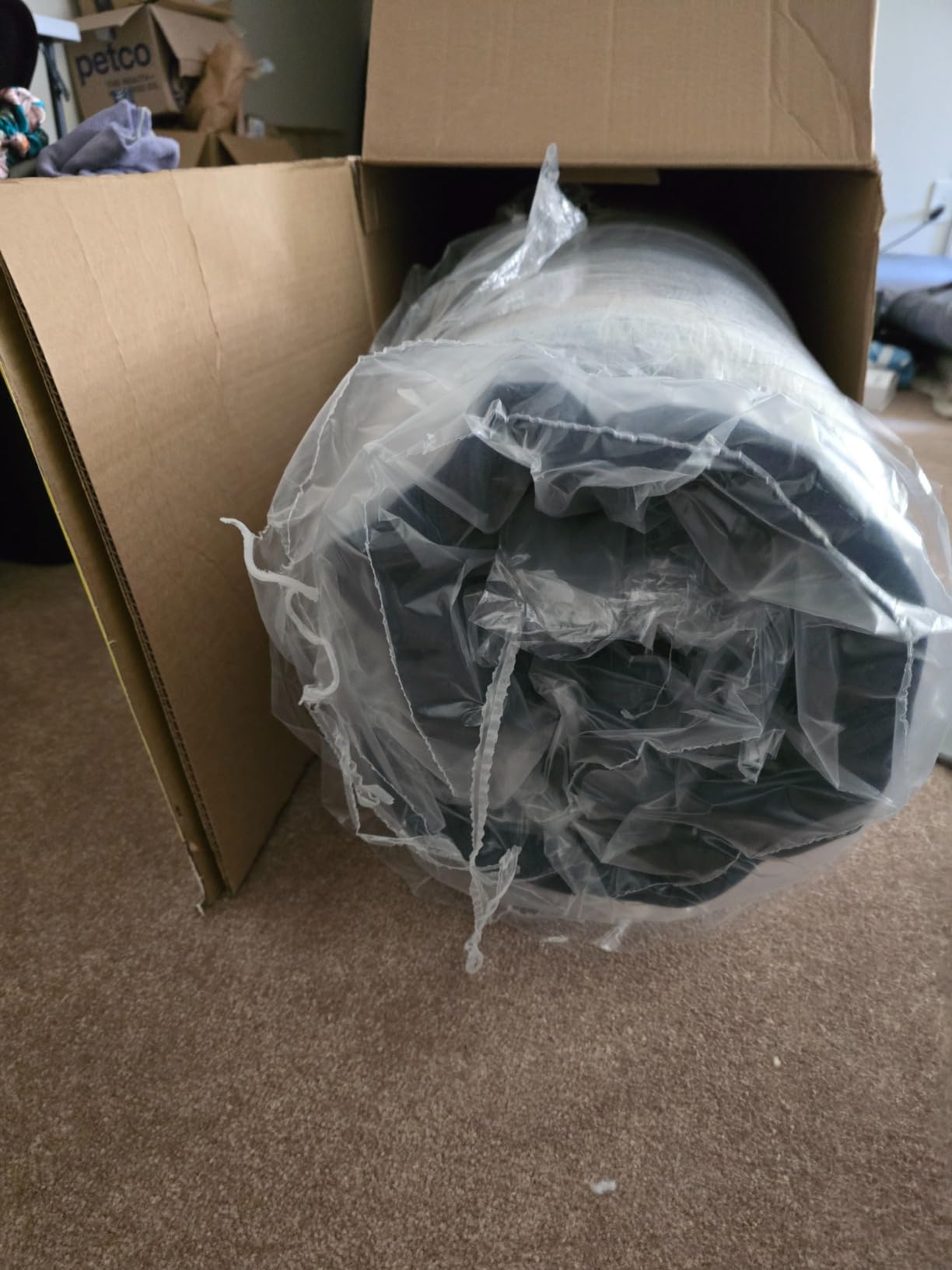 Serta Sleeptrue Firm 12