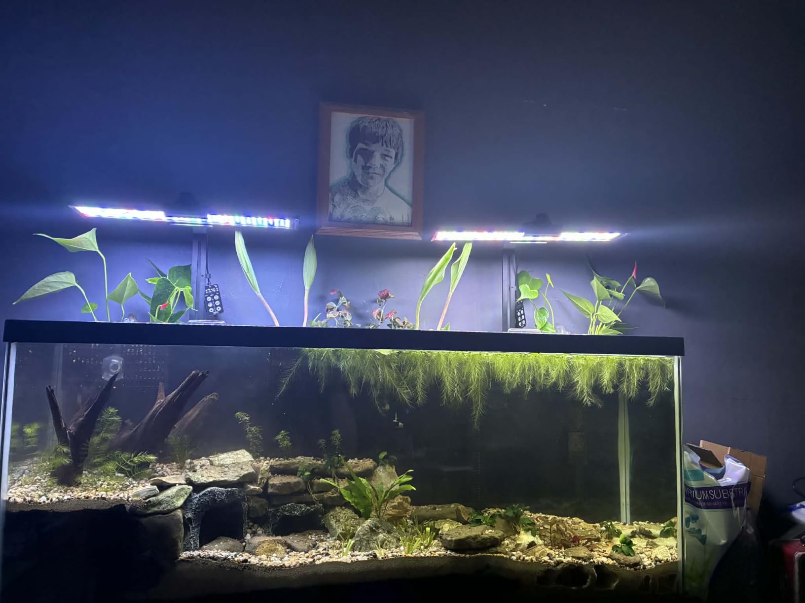 SEAOURA Aquarium Planted Light with 24/7 Timer for 48-54in Fish Tank | high PAR LEDs for plant growth, 3 timers + memory, 20 dimming, 15min fade, adjustable brackets, slim aluminum customer photo 1
