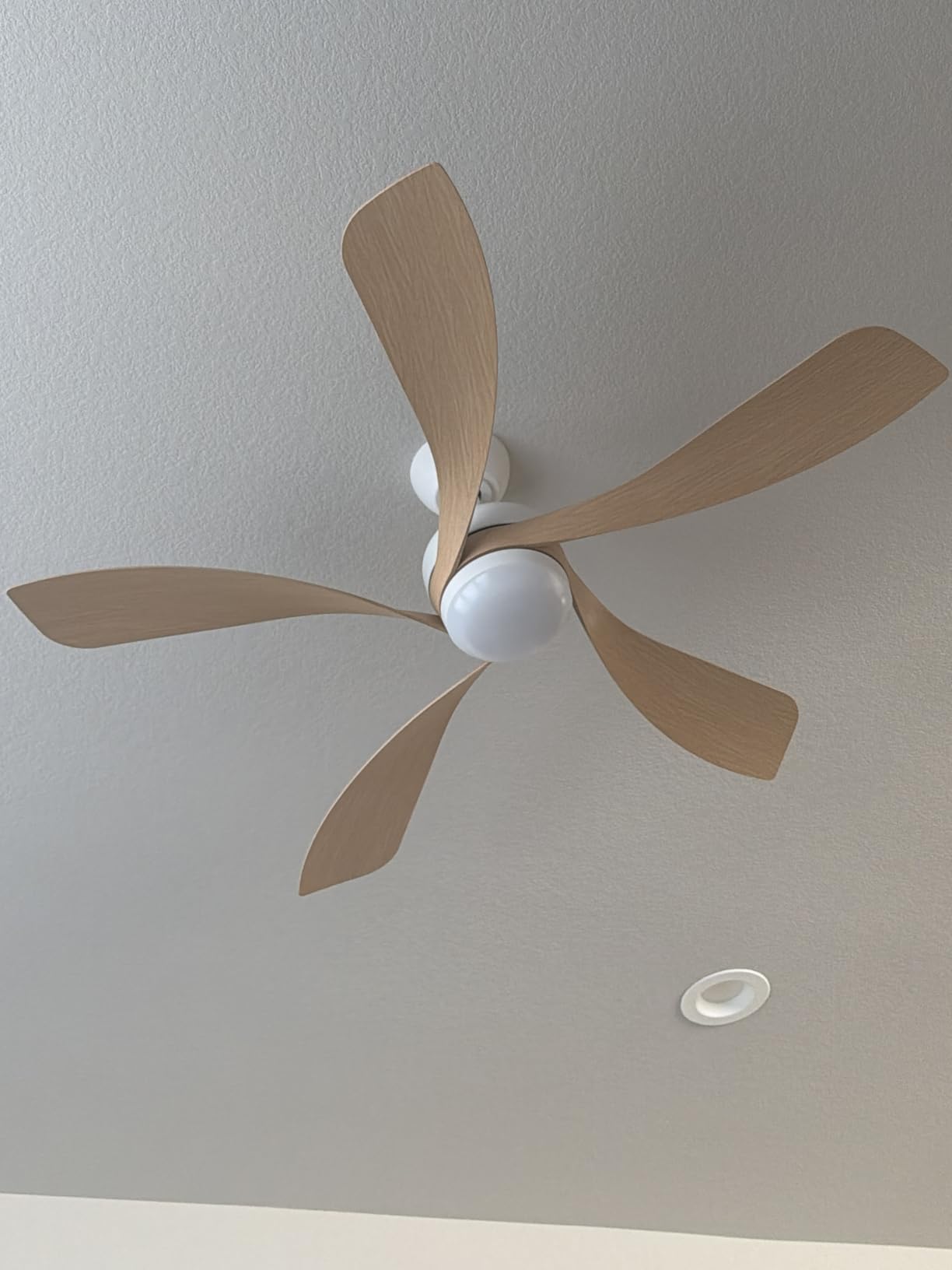 Sofucor 52 Inch Ceiling Fan with Light, 5 ABS Blades Brown | Remote Control Compatible, Reversible Quiet DC Motor, Timer, 6 Speeds, 3-CCT for Living Room Bedroom Patio Farmhouse customer photo 1