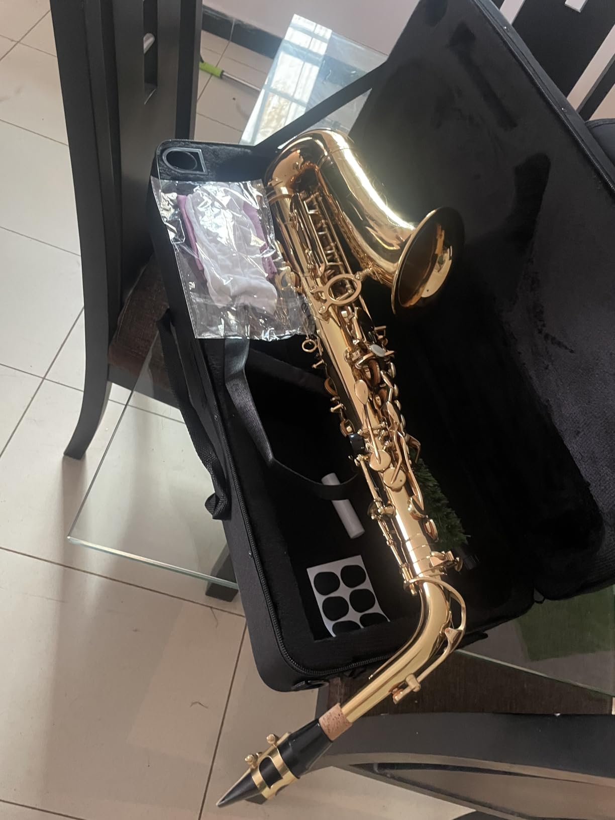 Beginner Alto Saxophone, E Flat - Complete Starter Kit with Case & 10 Reeds, for Adults & Students customer photo 1