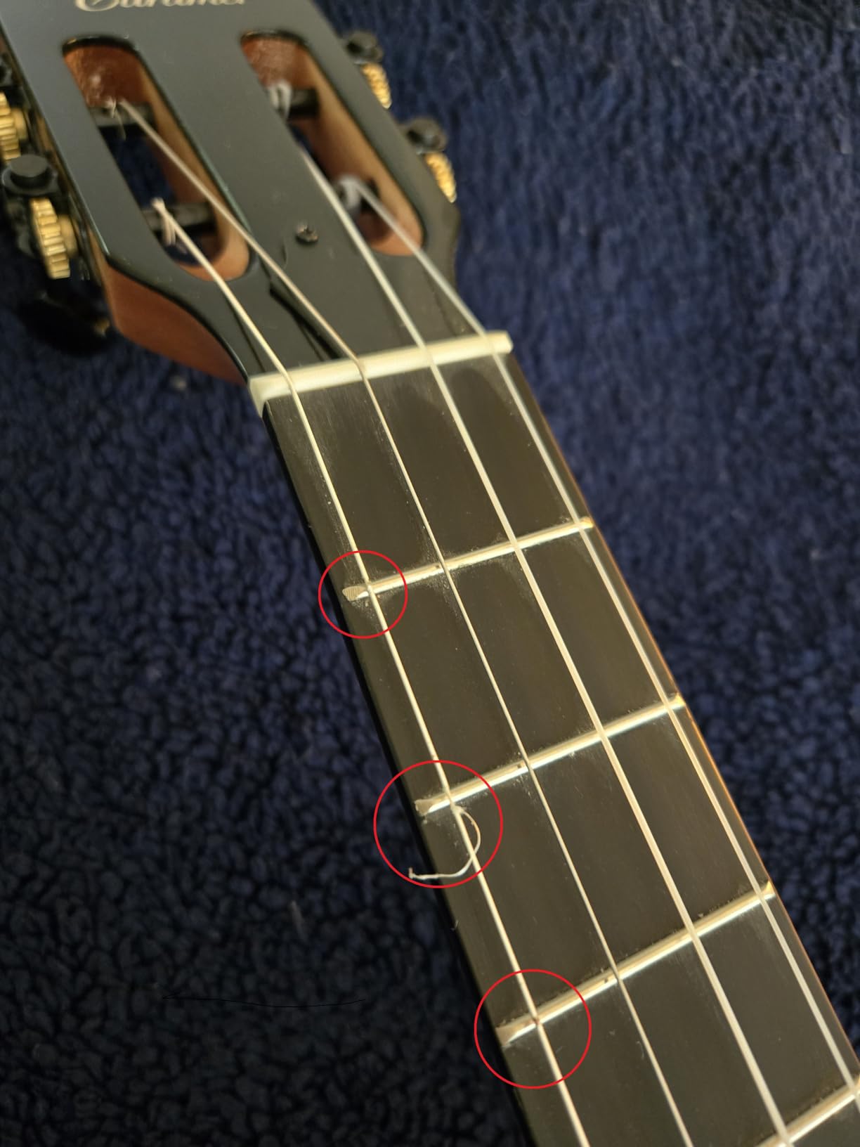 Caramel BEG95 Butterfly Bocote Glossy Baritone Acoustic and Electric Ukulele customer photo 1