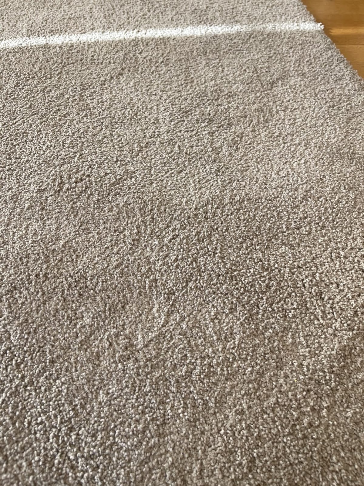 BISSELL Little Green Mini Portable Carpet Cleaner, 4075 customer photo 2