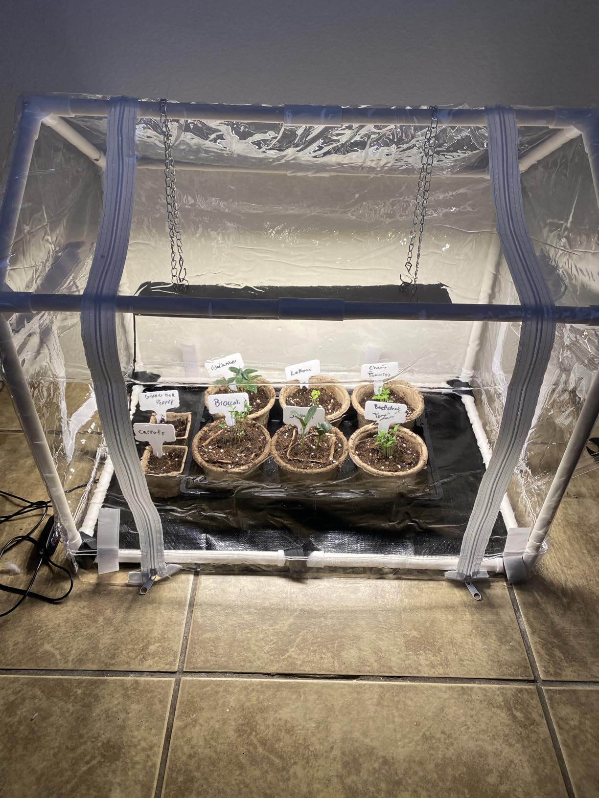 Meonum Mini Greenhouse with Grow Light, 23.6