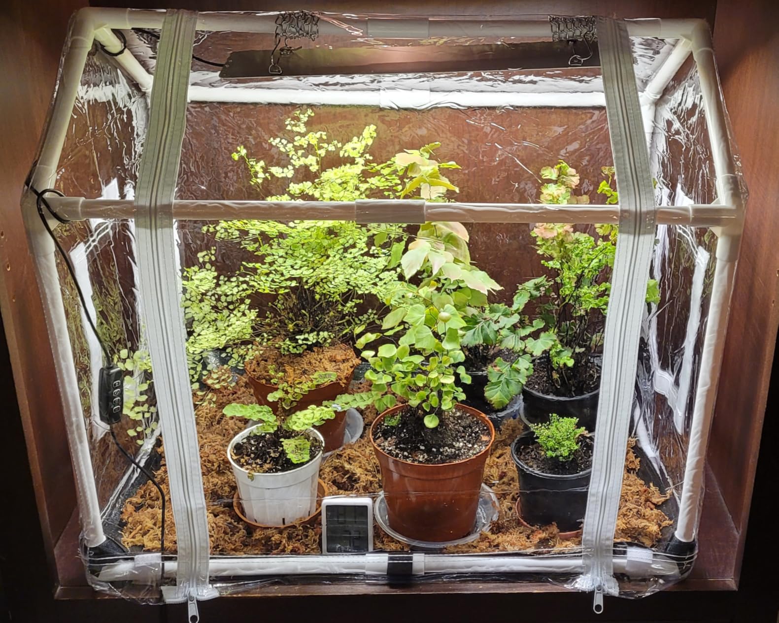 Meonum Mini Greenhouse with Grow Light, 23.6