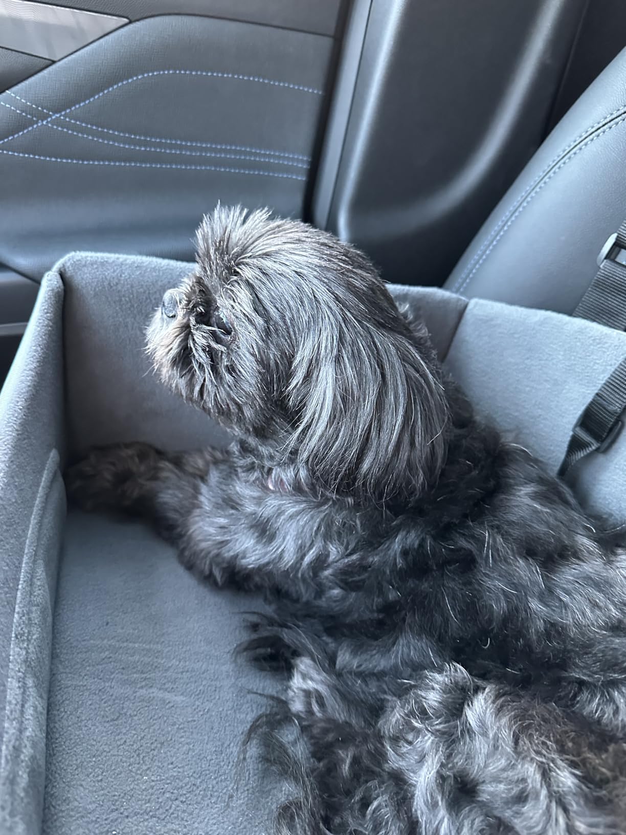 A 4 Pet Dog Car Seats for Small Dogs, Under 25 lbs, Patent Buckles, Adjustable leash, frame support, reduces anxiety, for cars/SUV/pickup customer photo 2
