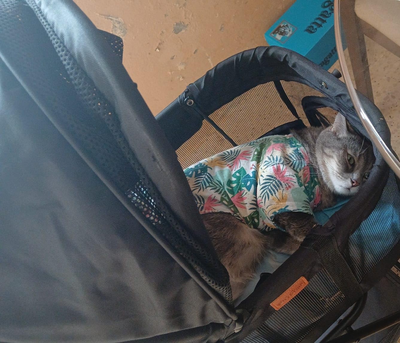 Bicystar Dog Stroller with Detachable Carrier, 33 lb Max Load, Black | 3-in-1 stroller and car seat, one-hand fold, fits small pet, mesh airflow, 360 Swivel Front Wheels, Compact storage customer photo 1